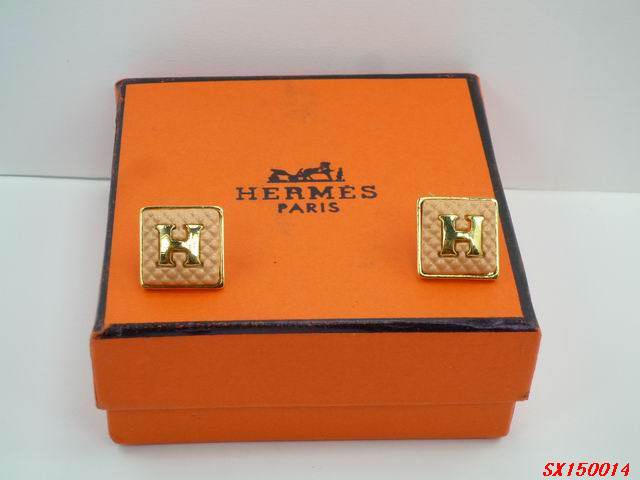 Hermes Earrings 37